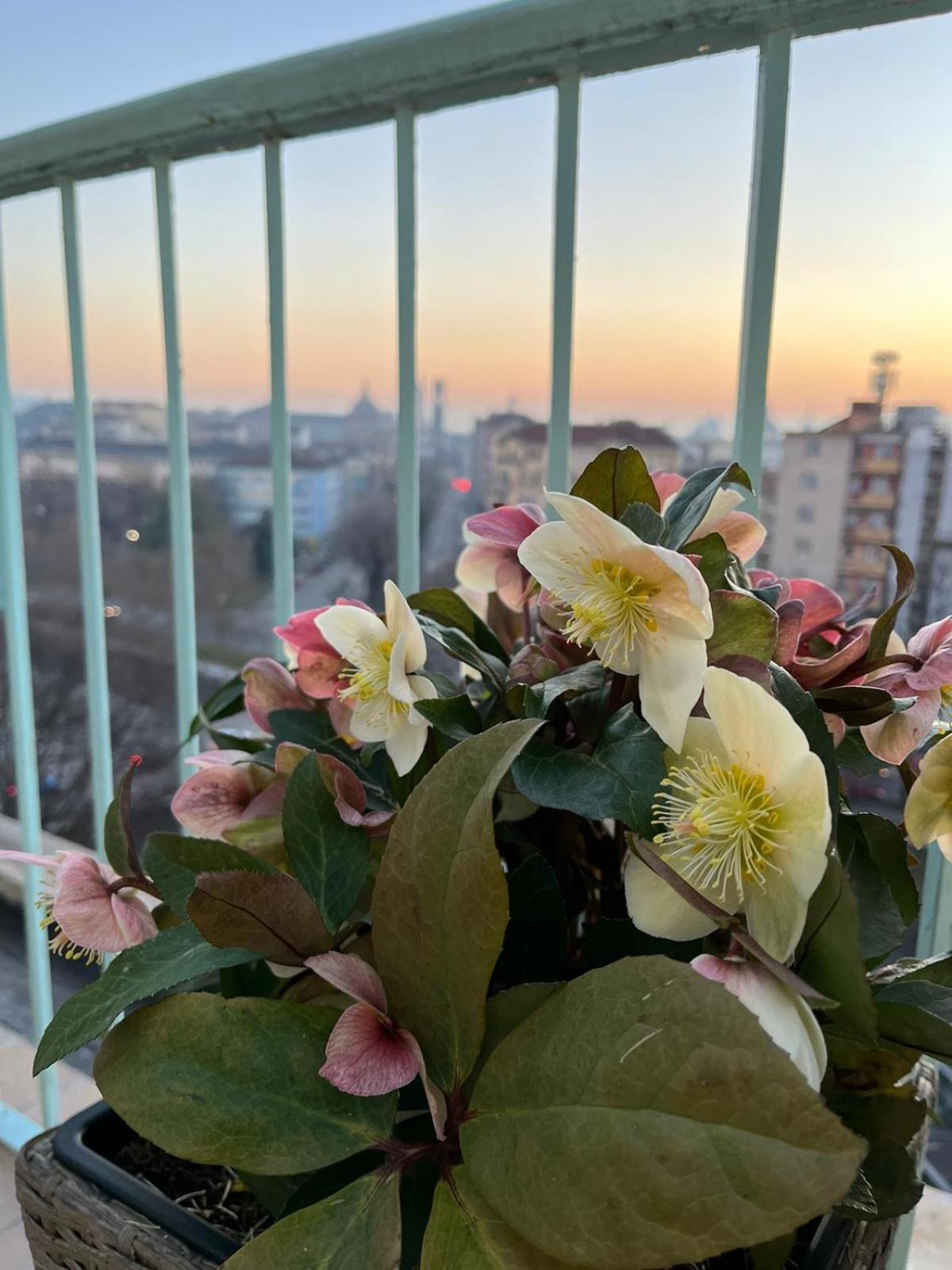 Attico Ellen Terrazza Con Vista Διαμέρισμα Τορίνο Εξωτερικό φωτογραφία