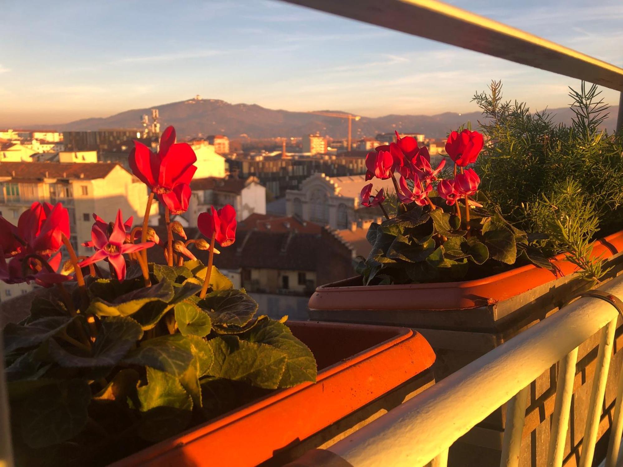 Attico Ellen Terrazza Con Vista Διαμέρισμα Τορίνο Εξωτερικό φωτογραφία