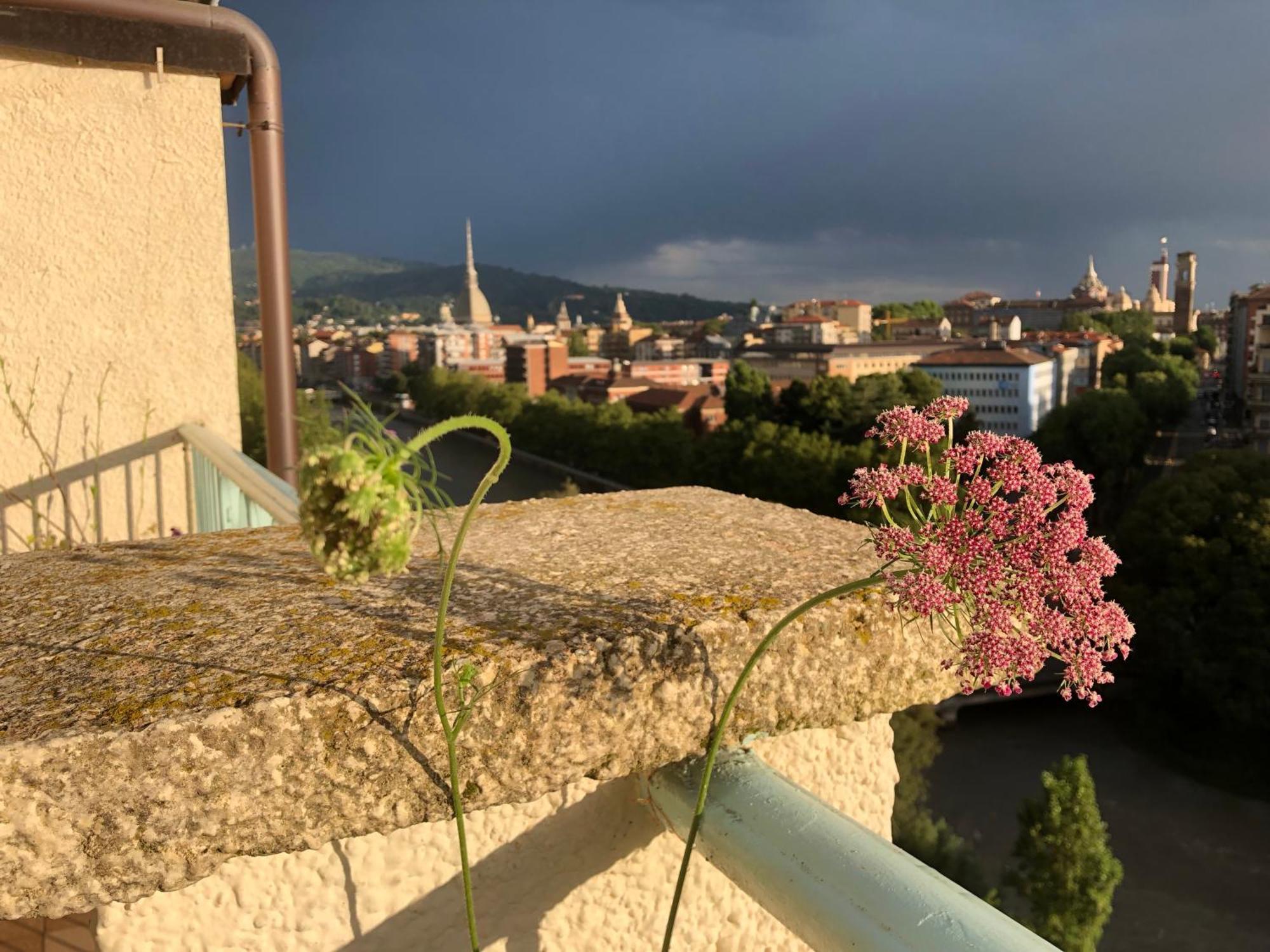 Attico Ellen Terrazza Con Vista Διαμέρισμα Τορίνο Εξωτερικό φωτογραφία
