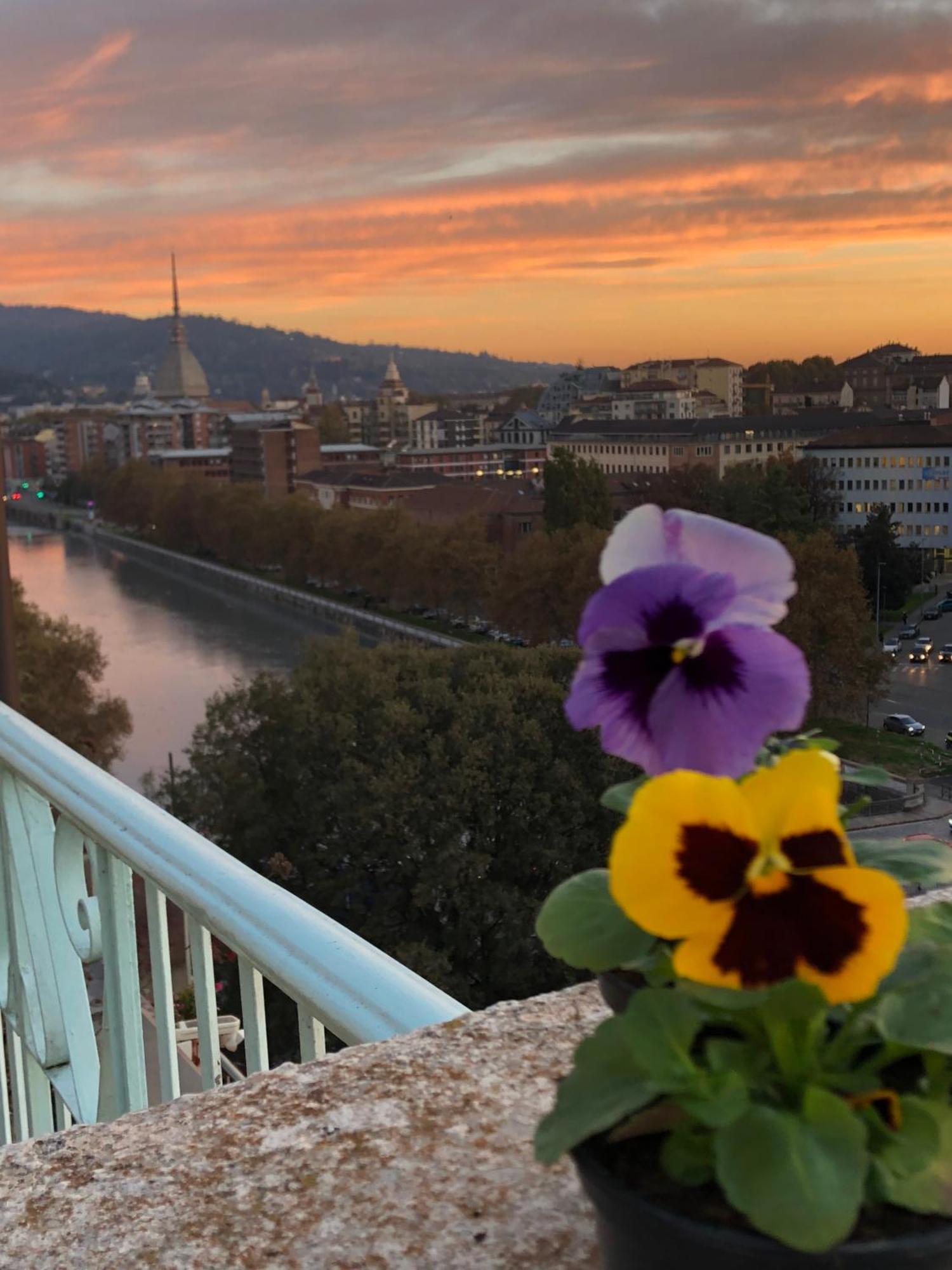 Attico Ellen Terrazza Con Vista Διαμέρισμα Τορίνο Εξωτερικό φωτογραφία