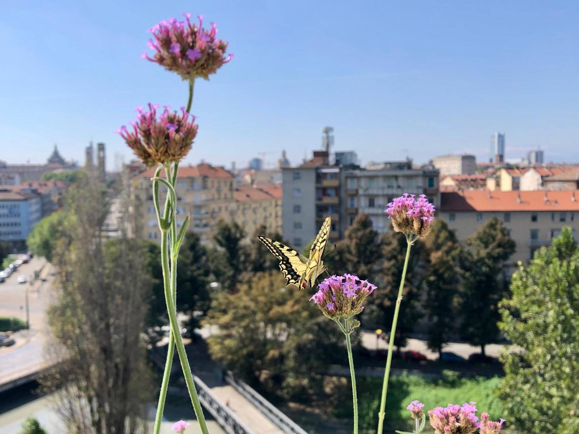 Attico Ellen Terrazza Con Vista Διαμέρισμα Τορίνο Εξωτερικό φωτογραφία